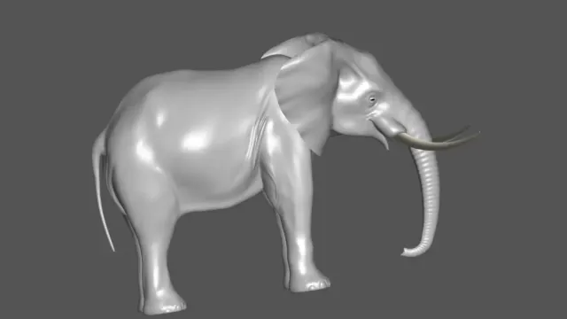 ELEPHANT 3d model — Фото 2 из 2