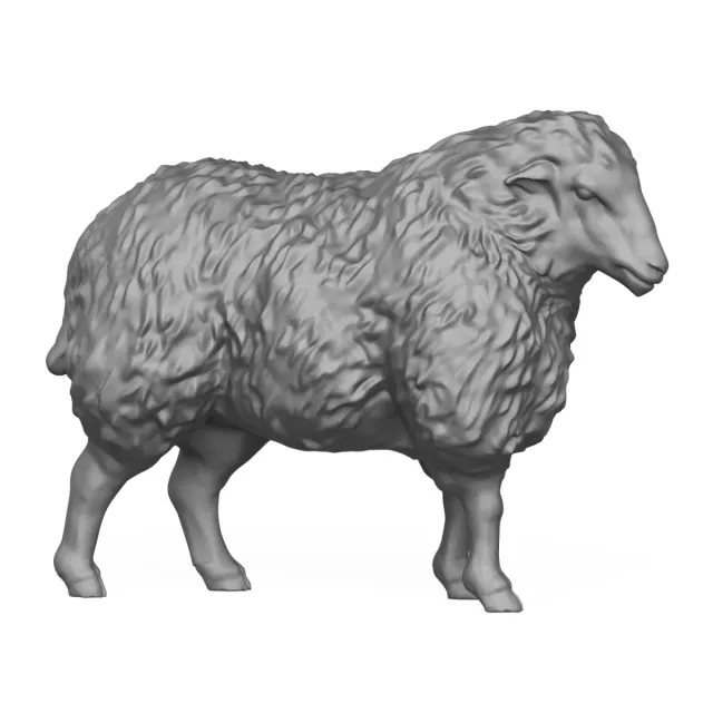 Standing Sheep 3D Print Model — Image 7 of 7