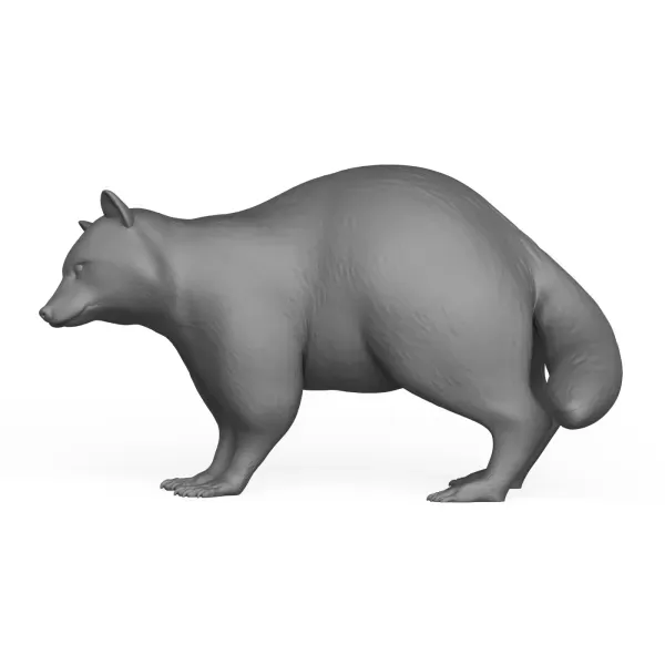 3D Printable Racoon Animal — Image 3 of 6
