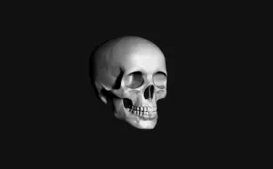 skull