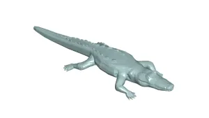 ALLIGATOR 3d model