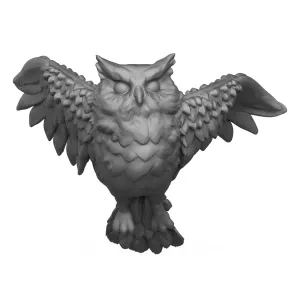 Owl Bird