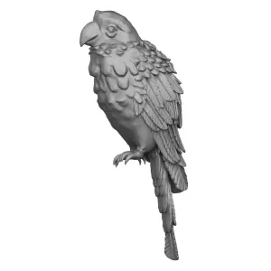 Parrot Bird