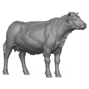3D Printable Young Cow
