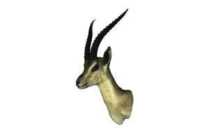 Gazelle
