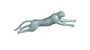 Cheetah 3d model