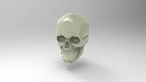 Simplified Model of a Skulls