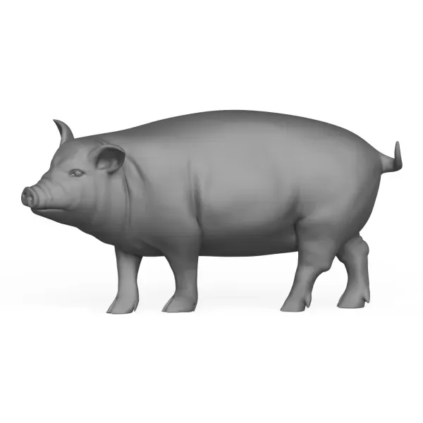 3D Printable Pig Standing Pose — Фото 3 из 5