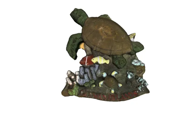 Souvenir Turtle from Cayman Island — Фото 3 из 3