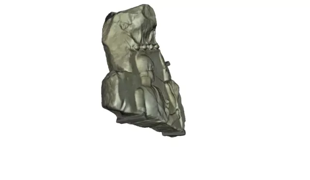 Wall Fragment — Фото 3 из 5