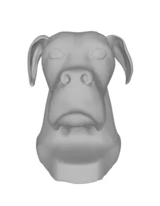 Muzzle of a german boxer