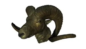Ram Head