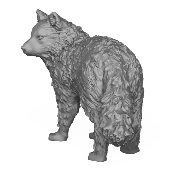 Wild Fox 3D Print Model — Фото 6 из 6