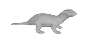 A species of predatory mammals from the weasel family - Otter
