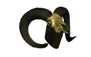 Model of Ram Skull