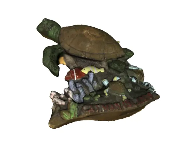Souvenir Turtle from Cayman Island — Фото 2 из 3