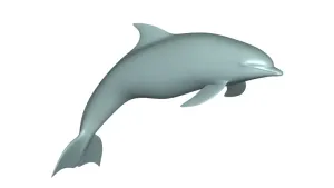 Delphin 3d model