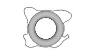 Lifebuoy