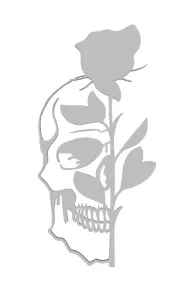 Skull and rose 2D