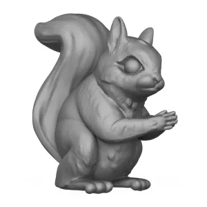Squirrel