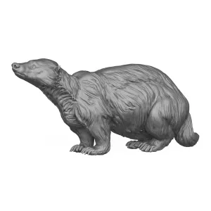 Wild Badger Animal 3D Print Model