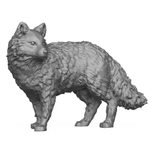 Wild Fox 3D Print Model