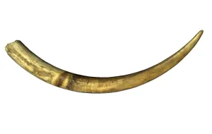 Elephant Horn