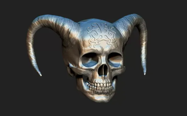 skull — Image 5 of 5