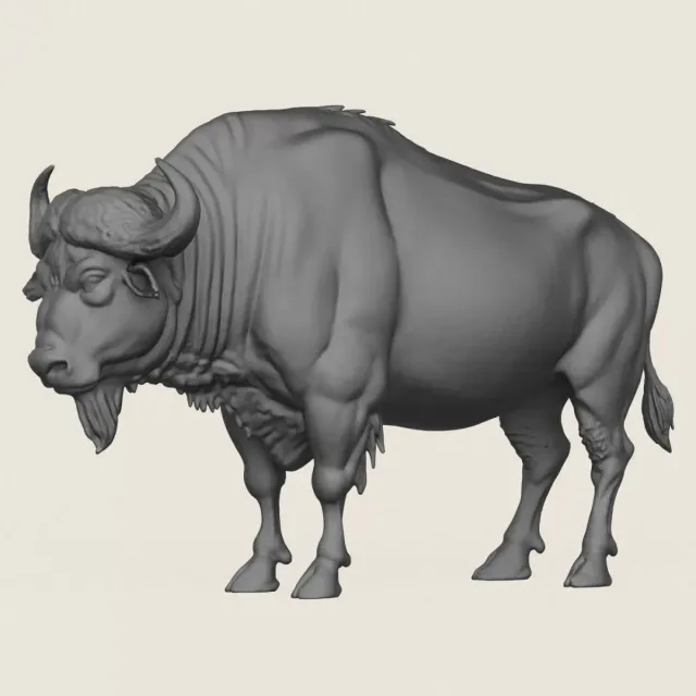 Wild Buffalo Print Ready 3D Model — Фото 6 из 6