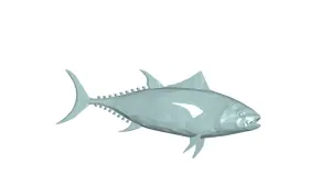 FISH TUNA 3d model