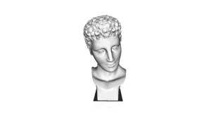 Male Bust
