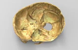 Half Skull