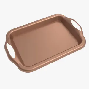 Food Tray