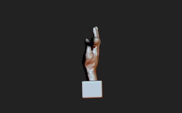 Voce — Image 3 of 5