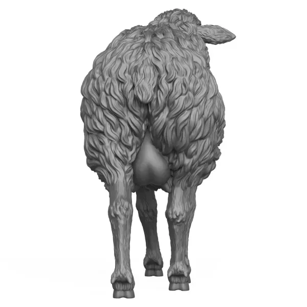 3D Printable Sheep Standing Pose — Фото 6 из 7