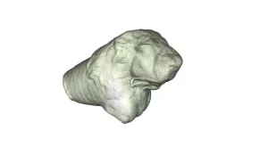 Roman Lion Statue