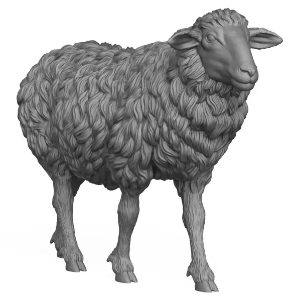 3D Printable Sheep Standing Pose — Фото 4 из 7