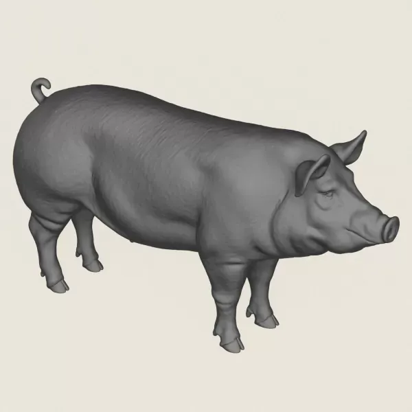 Pig Print Ready 3D Model — Фото 4 из 5