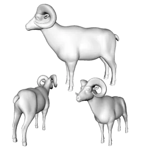 3D Printable Ram