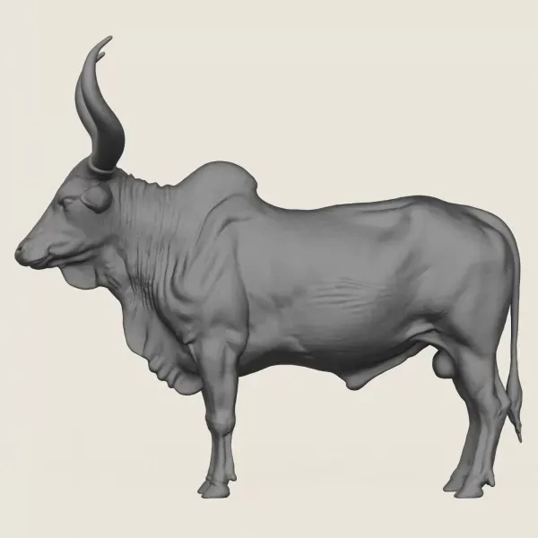 Indian Bull Print Ready 3D Model — Фото 3 из 5