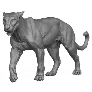3D Printable Wild Animal Leopard