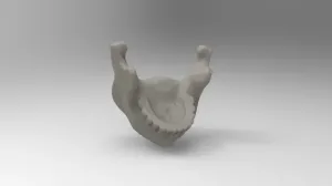 Simplified model of mandible