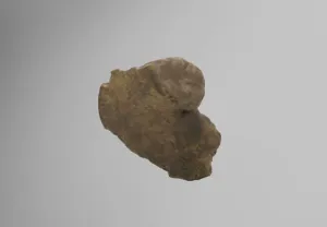 Model of baby right hip bone.