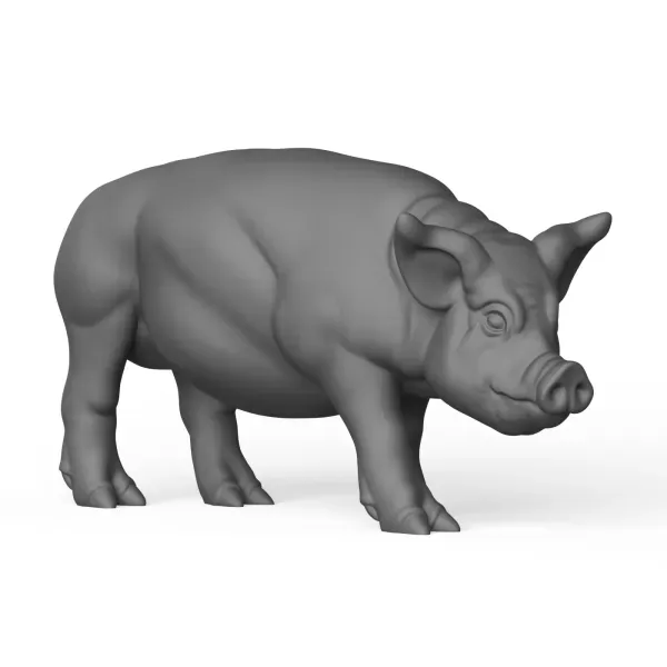 3D Printable Pig Standing Pose — Image 5 of 5