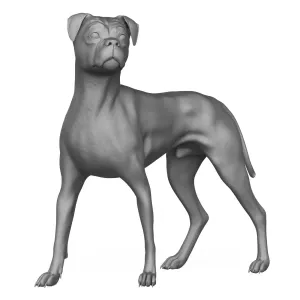 Boxer Dog Alert Pose 3D Print Model