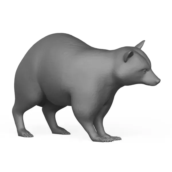 3D Printable Racoon Animal — Image 5 of 6