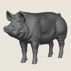 Pig Print Ready 3D Model