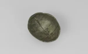 Educational Model of Cranial Roof