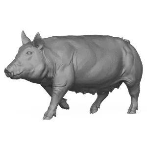 3D Printable Pig Walking Pose