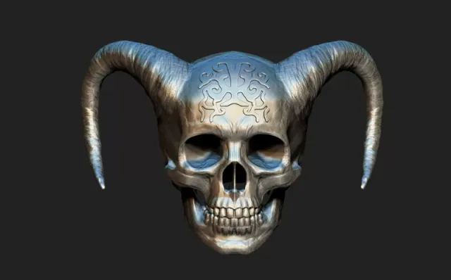 skull — Image 2 of 5